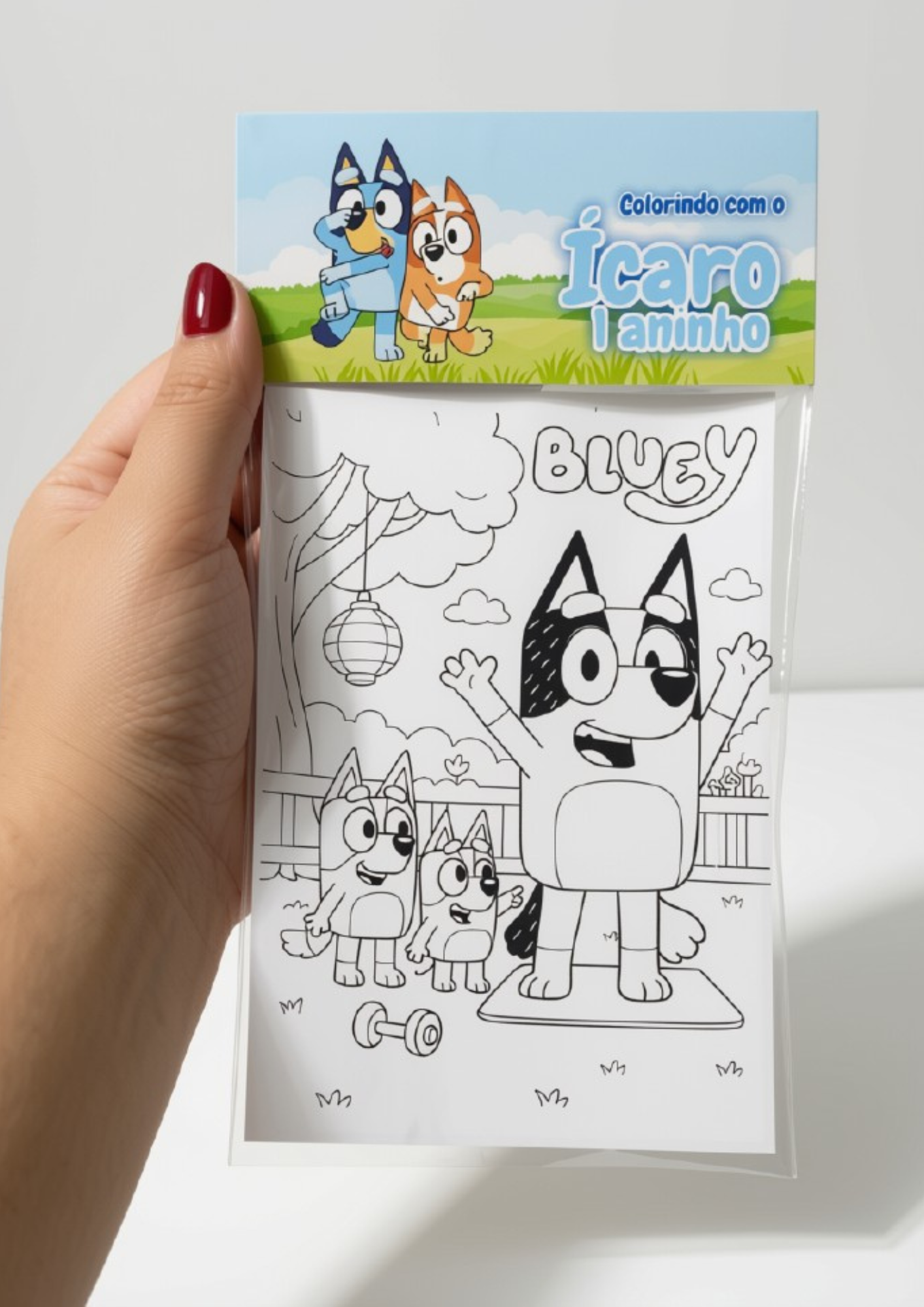 Kit caixas e lapelas 2